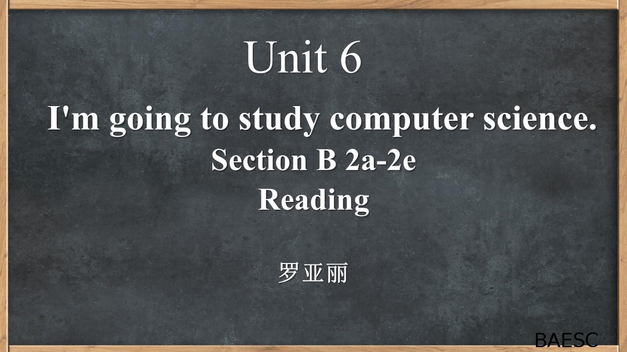 Go For It 8A U6 阅读课教学资源包 罗亚丽